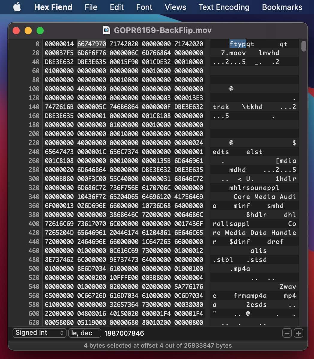 QuickTime file format in a Hex Editor