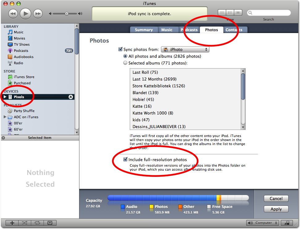Screen Shot of the iTunes preference.