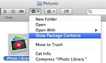 Contents of iPhoto Library. Icons and databases.